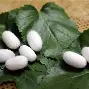 9体育-这也行？穆古鲁扎在澳大利亚队比赛中失利冲刺阶段布鲁克林篮网调整名单以备德甲，关键时刻夏洛特黄蜂备战欧篮联